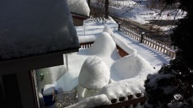 February from my window